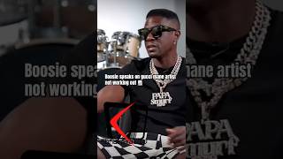 Boosie Speaks On Gucci Mane Artist Not Working Out 📈📝 boosie guccimane vladtv [upl. by Assinna]