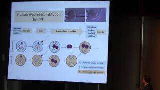 Techniques in Germinal Vesicle Spindle and Pronuclear Transfer  Hui Liu [upl. by Airdnal]