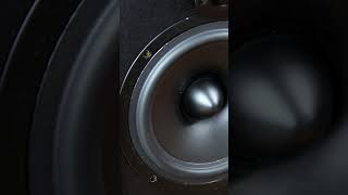 Microlab mid bass speaker [upl. by Innus944]