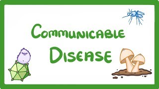 GCSE Biology  Communicable Disease 34 [upl. by Yesnyl]