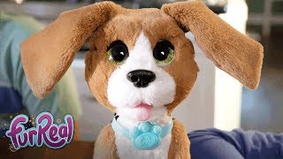 FurReal Friends  Chatty Charlie the Barkin’ Beagle Official TV Commercial [upl. by Phila]