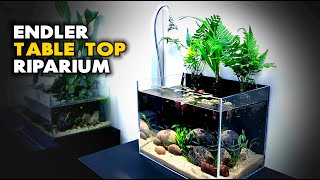 Aquascape Tutorial Tabletop Endler Riparium  Aquarium How To Step By Step Planted Tank Guide [upl. by Ahsilrae]