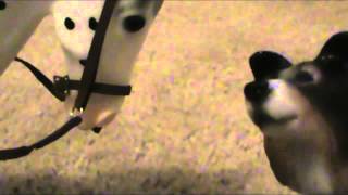 Dog Days Ep 3 Breyer Horse DOG video [upl. by Renraw403]