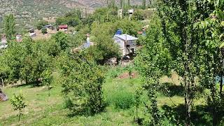 GİRESUN ÇAMOLUK KUTLUCA KÖYÜ 🇹🇷🌼 [upl. by Anibor]