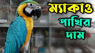 পোষা ম্যাকাও পাখির দাম 2021  macaw parrot price in Bangladesh  Most Expensive Bird Price  Petsbd [upl. by Idnaj]