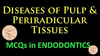 MCQs in Endodontics  Diseases of the Pulp and Periradicular Tissues [upl. by Fawcette]