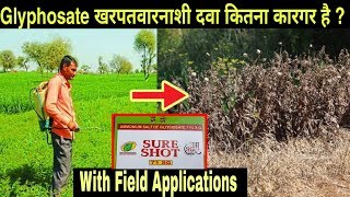 Use of Glyphosate 71 SG Herbicide to control weeds in agriculture Best herbicide to control weeds [upl. by Ecirrehs517]