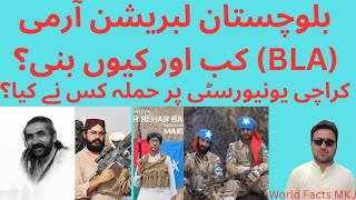 When amp why Balochistan Liberation Army BLA Formed Karachi University Attack World Facts MKJ [upl. by Lrub]