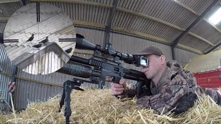 Farmyard pest control UK air rifle Compilation [upl. by Giuseppe]