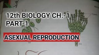 Class 12 biology chapter 1part 1 reproduction in organismsStudy with Farru [upl. by Sualohcin]