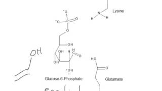 CHEM 407  Glycolysis  2  Phosphoglucose Isomerase Mechanism [upl. by Drareg]