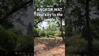 Whats Hidden in the Jungle of Angkor Wat That You Wont Believe [upl. by Ahseel]