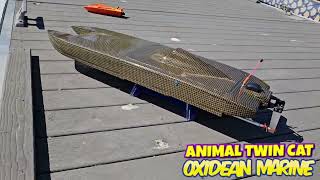 Wicked Fast Acceleration Animal Twin Cat rc boat on Rough Water [upl. by Annoirb]