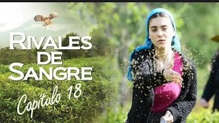 RIVALES DE SANGRE CAPITULO 18 COMPLETO [upl. by Aicina]