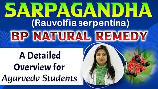 Sarpagandha Rauwolfia serpentina  BP Herbal Remedy  A Detailed Overview for Ayurveda Students [upl. by Adelaida825]