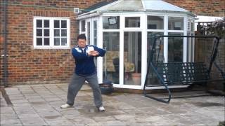 Master Fei Bing  Chen Style Tai Chi 83 Part 23 [upl. by Sass]