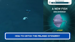 How To Catch The Pelagic Stingray  Creatures Of The Deep Part 45 [upl. by Colt]