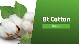 Bt Cotton Genetic engineering  Agrobacterium tumefaciens  Bt toxin role [upl. by Annayrb]