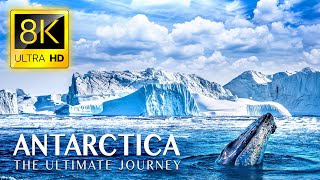 ANTARCTICA The Ultimate Journey in 8K ULTRA HD [upl. by Fulmer]