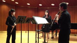 Trio for Flute Oboe and ClarinetGraham Cohen [upl. by Noeled]