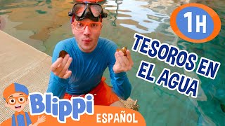 Blippi busca tesoros en el fondo del mar💰🎁🌊 Blippi Español  Videos educativos para niños [upl. by Budwig]