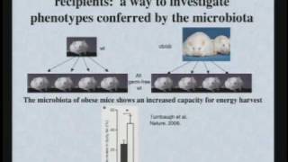 The World Within Us Microbes That Help and Harm [upl. by Ja]