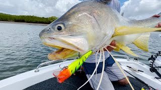 MONSTER Threadfin Salmon Fishing in Hervey Bay  Hervey Bay Fly and Sportfishing [upl. by Berkly]