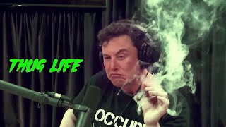 quotThe Boss 🍀quot • Elon Musk Smoking Whatsapp Status 🇺🇸🔥 [upl. by Gewirtz]