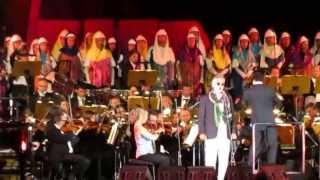 Andrea Bocelli  Nessun dorma live in Tuscany grand finale Lajatico 2013 [upl. by Ecinehs128]