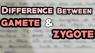 Difference between GAMETE and ZYGOTE  Train Your Brain [upl. by Al]