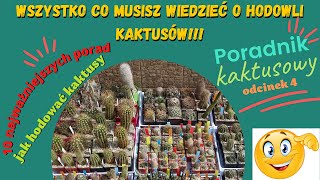 10 praktycznych porad jak hodować kaktusy Poradnik kaktusowy odc4🌵🌵🌵 [upl. by Nnylhsa]