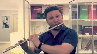 Ilja Dvoretskiy  Straubinger Flute survey [upl. by Acinet997]