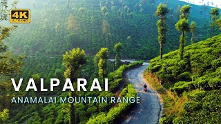 Valparai  Travel to Valparai through Athirappilly Vazhachal Forest  4K [upl. by Haisa]