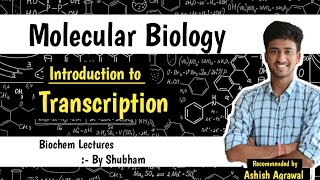 RNA Polymerase And Introduction To Transcription  Molecular Biology  Biochemistry lectures [upl. by Langille503]