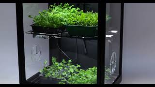 About Harvsts S8 Smart Mini Greenhouse [upl. by Rabah777]