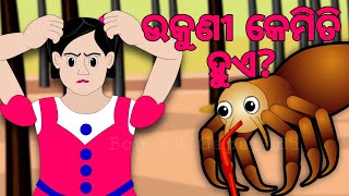 BUDHIA BUDHABAR 62  ଉକୁଣୀ କେମିତି ହୁଏ  What Causes Head Lice  BOU RA GAPAPEDI  odia Fact [upl. by Kacey550]