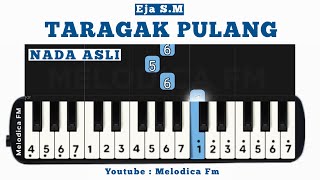 Taragak Pulang  Easy Pianika Tutorial [upl. by Llednahs]