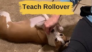 Fun Trick To Teach Your Dog How To Rollover [upl. by Litta862]