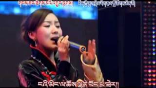 New Tibetan Song Tibetan soul  spirit Tsewang Lhamo [upl. by Anih]