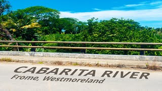 Aerial Journey Along the Cabarita River  Frome Westmoreland [upl. by Daj101]