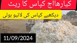 cotton rate today cotton price todayآج کپاس کا ریٹ 11 September 2024 [upl. by Pudens]