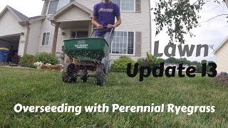 Overseeding With Perennial Ryegrass [upl. by Oelgnaed766]