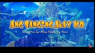 Ang Tanging Alay Ko quotSalamat sa iyo aking Panginoong Hesusquot with lyrics tangingalayko lyrics [upl. by Kwok542]