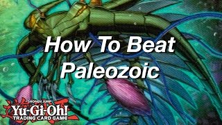 YuGiOh How To Beat Paleozoic [upl. by Ladew]