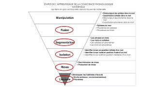 Étapes de lapprentissage de la conscience phonologique [upl. by Siladnerb]