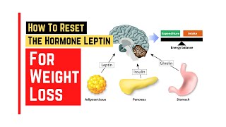 How to reset leptin hormone for weight loss  Veronica Yoo nutritionist FMCHC CFS [upl. by Bondie]