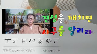 살활동시를 깨치면조사들과의 선문답에 막힘이 없으리라900회 선요 13 제 13강의 [upl. by Celeski]