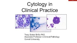 Cytology in Clinical Practice  conference recording [upl. by Nelyak177]