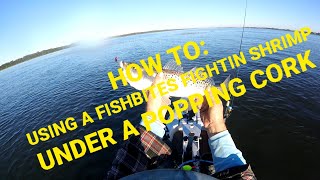 HOW TO Using A FISHBITES FIGHTIN SHRIMP Under A Popping Cork [upl. by Alliber]