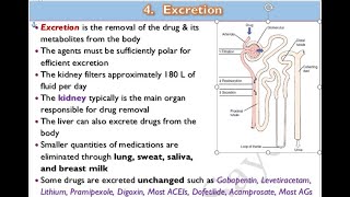 🔴 11 Excretion of drugs DrHazem Sayed [upl. by Mayce]